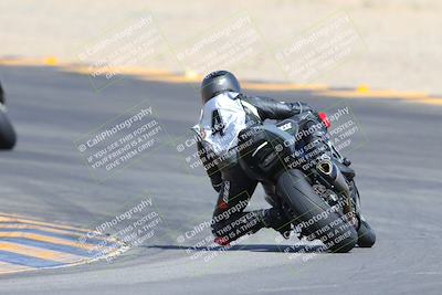 media/Mar-10-2024-SoCal Trackdays (Sun) [[6228d7c590]]/9-Turn 8 Backside (1150am)/